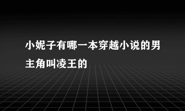 小妮子有哪一本穿越小说的男主角叫凌王的