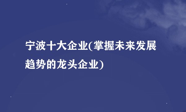 宁波十大企业(掌握未来发展趋势的龙头企业)