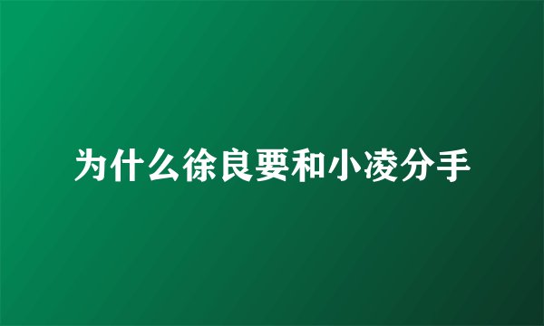 为什么徐良要和小凌分手