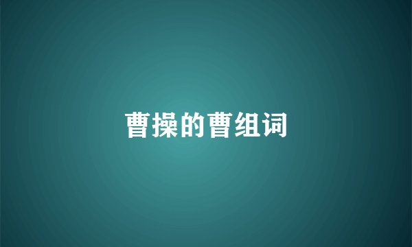 曹操的曹组词