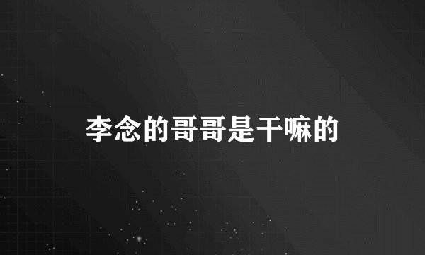 李念的哥哥是干嘛的