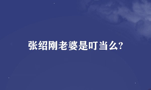 张绍刚老婆是叮当么?