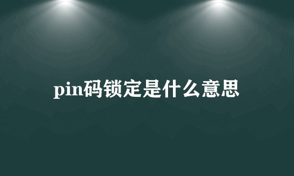 pin码锁定是什么意思