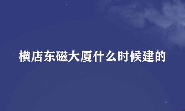横店东磁大厦什么时候建的