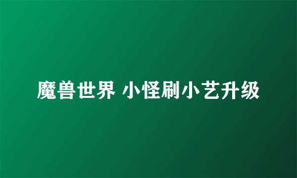 魔兽世界 小怪刷小艺升级