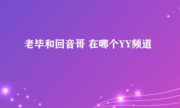 老毕和回音哥 在哪个YY频道