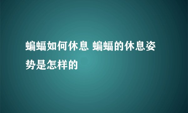 蝙蝠如何休息 蝙蝠的休息姿势是怎样的