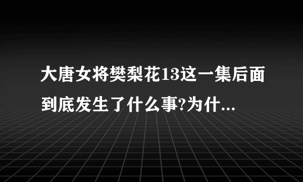 大唐女将樊梨花13这一集后面到底发生了什么事?为什么14集一开头就金定落水，梨花在哭？