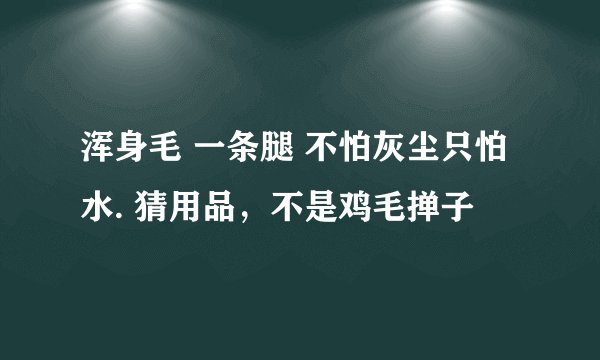 浑身毛 一条腿 不怕灰尘只怕水. 猜用品，不是鸡毛掸子