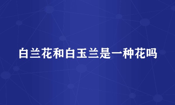 白兰花和白玉兰是一种花吗