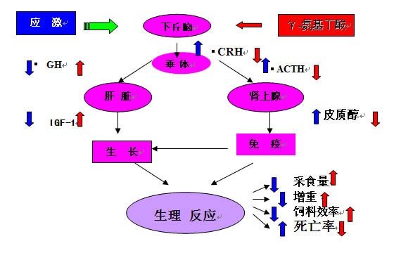 γ英文读音是什么？γ是什么意思？