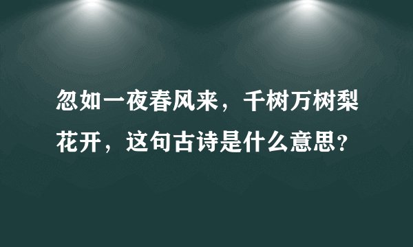 忽如一夜春风来，千树万树梨花开，这句古诗是什么意思？