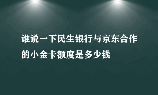 谁说一下民生银行与京东合作的小金卡额度是多少钱