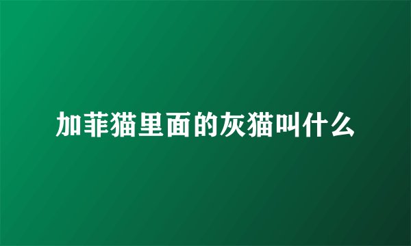 加菲猫里面的灰猫叫什么