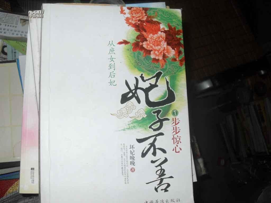 从庶女到后妃：妃子不善的内容简介