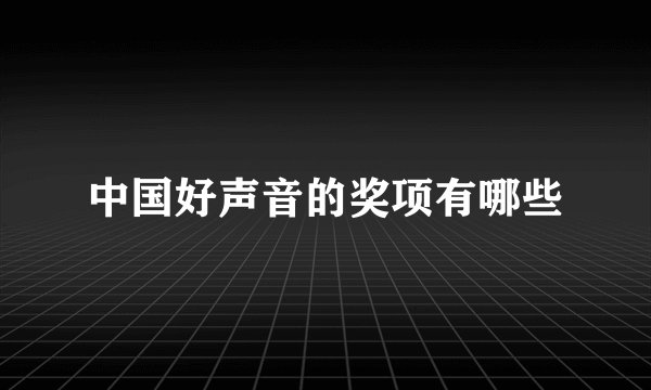 中国好声音的奖项有哪些