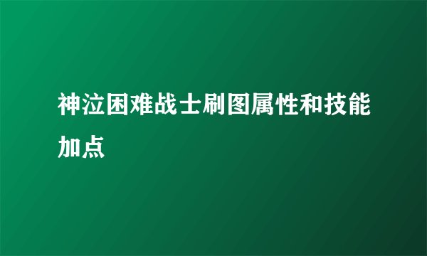 神泣困难战士刷图属性和技能加点