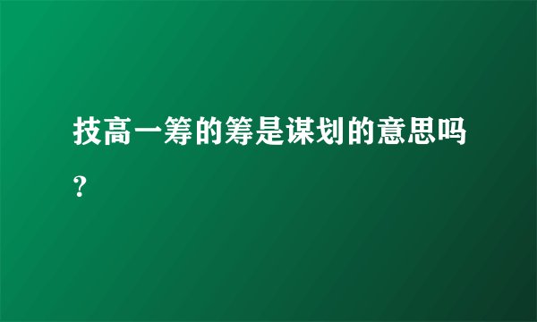 技高一筹的筹是谋划的意思吗？