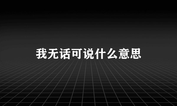我无话可说什么意思