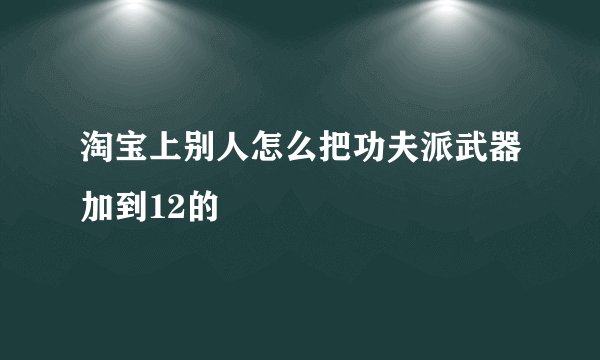 淘宝上别人怎么把功夫派武器加到12的