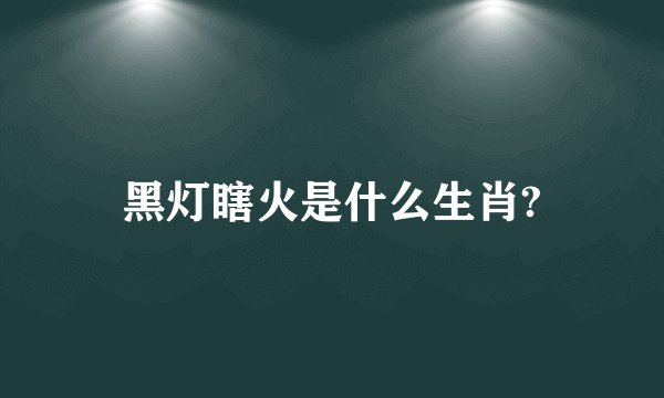黑灯瞎火是什么生肖?