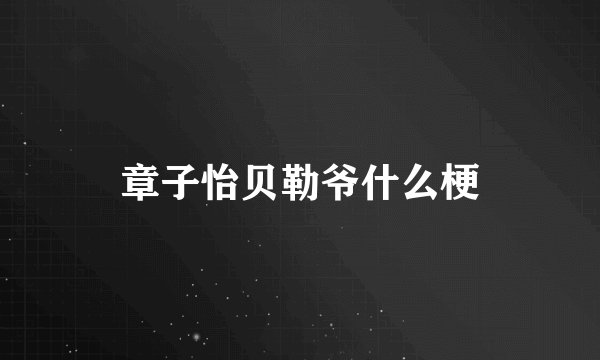 章子怡贝勒爷什么梗