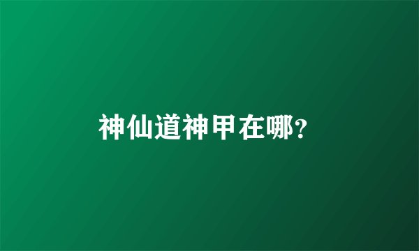 神仙道神甲在哪？