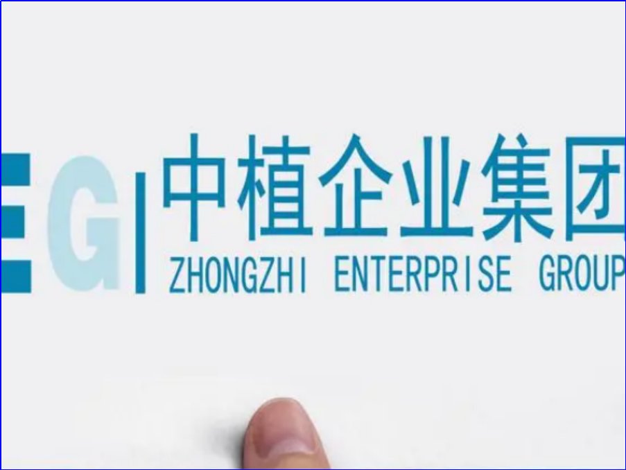 中植系是什么企业