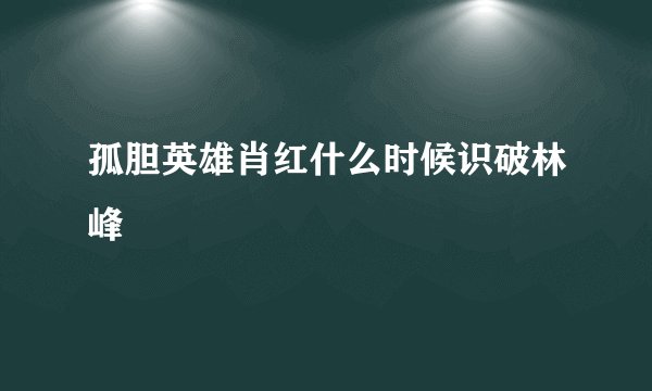 孤胆英雄肖红什么时候识破林峰