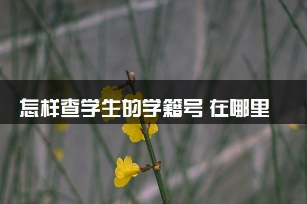 小学学籍号怎么查询