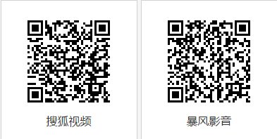 那个手机播放器能看旋风车手