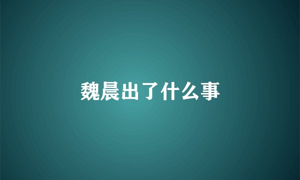 魏晨出了什么事