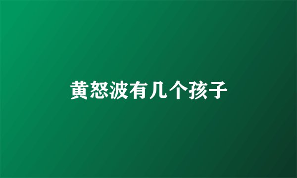 黄怒波有几个孩子