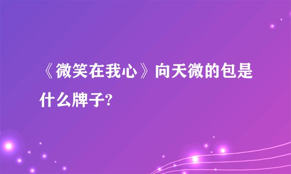 《微笑在我心》向天微的包是什么牌子?