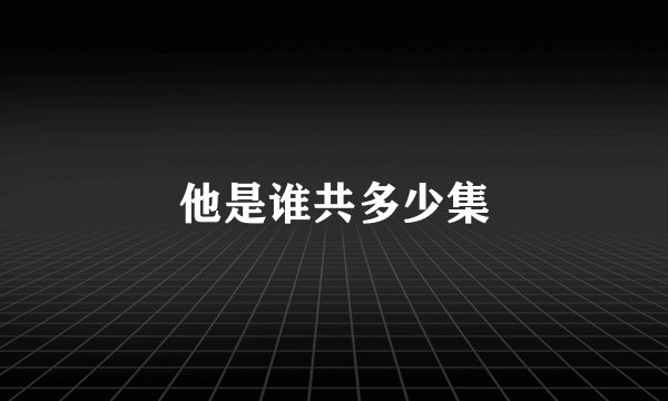 他是谁共多少集