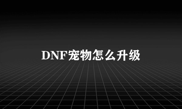 DNF宠物怎么升级
