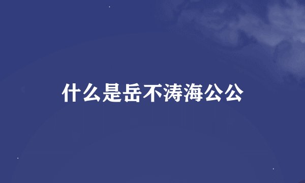 什么是岳不涛海公公