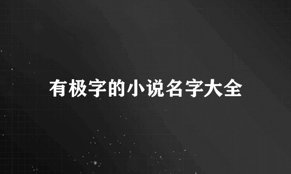 有极字的小说名字大全