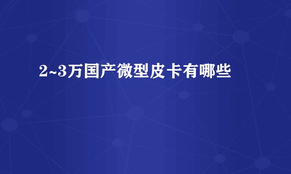 2~3万国产微型皮卡有哪些