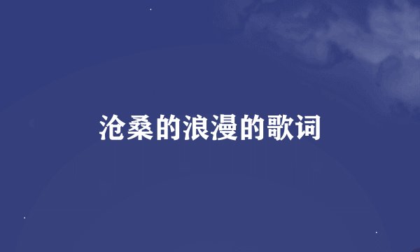 沧桑的浪漫的歌词