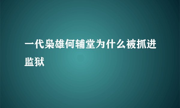 一代枭雄何辅堂为什么被抓进监狱