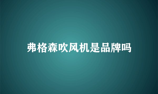 弗格森吹风机是品牌吗