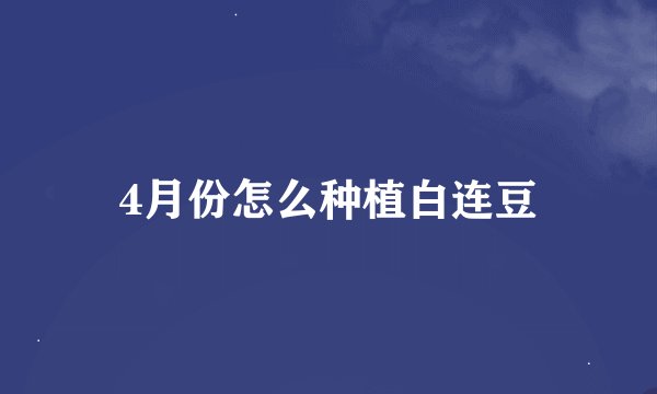 4月份怎么种植白连豆