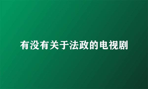 有没有关于法政的电视剧