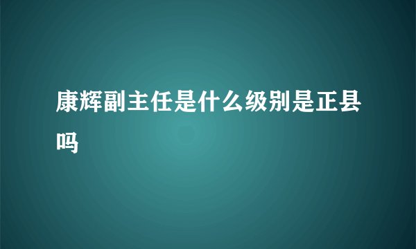 康辉副主任是什么级别是正县吗