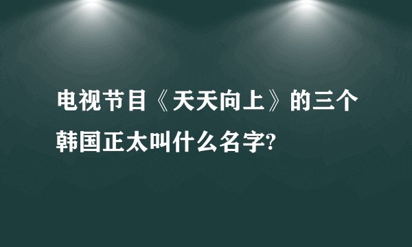 电视节目《天天向上》的三个韩国正太叫什么名字?