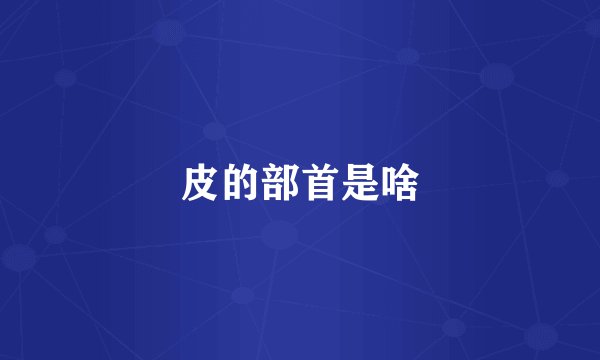 皮的部首是啥