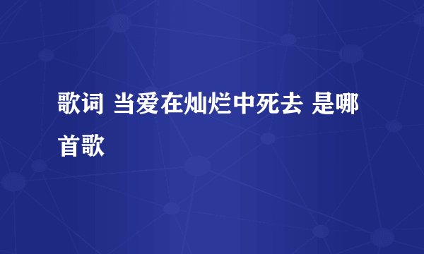 歌词 当爱在灿烂中死去 是哪首歌