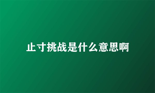 止寸挑战是什么意思啊