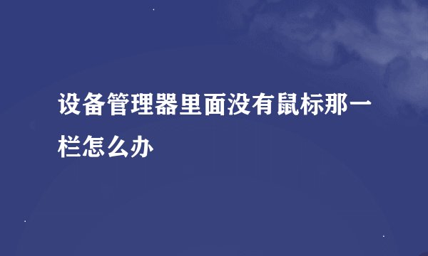 设备管理器里面没有鼠标那一栏怎么办